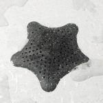 UMBRA sitko do odpływu STARFISH - czarny - obrazek 8