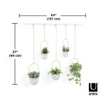 UMBRA donica wisząca TRIFLORA 5 LARGE biała / mosiądz - obrazek 6