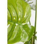 KARE roślina dekoracyjna MONSTERA 110 cm - obrazek 4