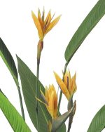 KARE roślina dekoracyjna PARADISE         FLOWERS 190 cm - obrazek 2