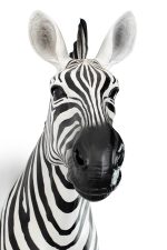 KARE dekoracja ścienna ZEBRA - obrazek 5