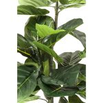 KARE roślina dekoracyjna FIDDLE LEAF 120  cm - obrazek 2