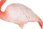 KARE dekoracja stojąca FLAMINGO ROAD - obrazek 6