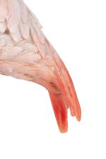 KARE dekoracja stojąca FLAMINGO ROAD - obrazek 7