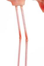 KARE dekoracja stojąca FLAMINGO ROAD - obrazek 8