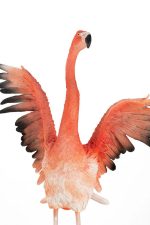 KARE dekoracja stojąca FLAMINGO ROAD FLY - obrazek 8