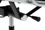 Fotel biurowy AERON PRESTIGE PLUS chrom  - skóra naturalna, aluminium - obrazek 7