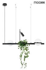 MOOSEE lampa wisząca PLANT czarna - obrazek 2