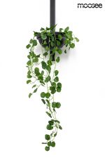 MOOSEE lampa ścienna PLANT WALL czarna - obrazek 7