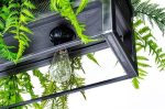 MOOSEE lampa wisząca / kwietnik SEMIRA    100 INDUSTRIAL - obrazek 2