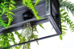 MOOSEE lampa wisząca / kwietnik SEMIRA    180 INDUSTRIAL - obrazek 2